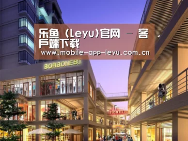 案例展示一(图1)