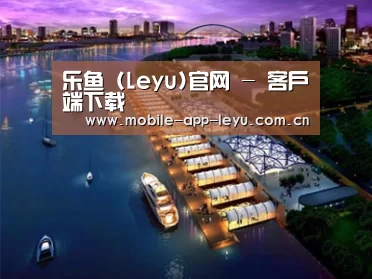 案例展示八