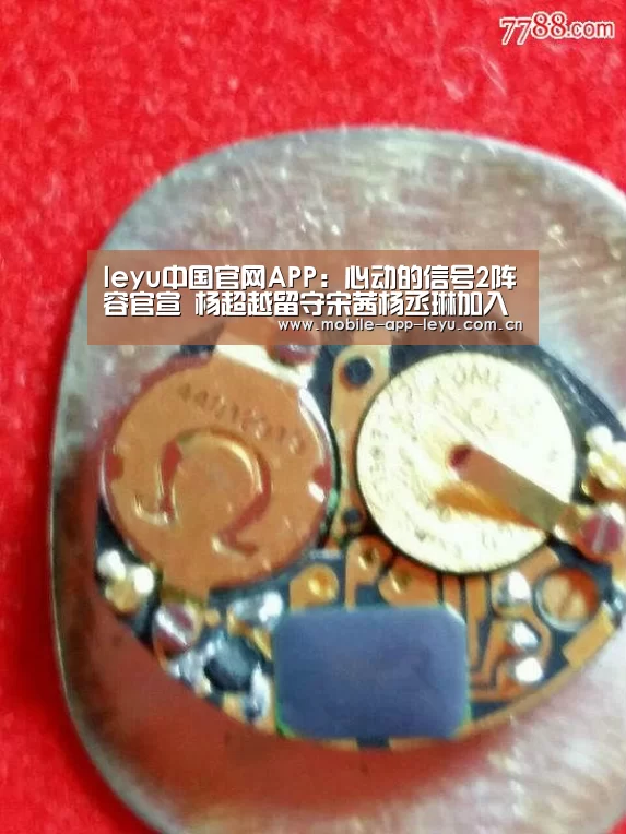 leyu中国官网APP:心动的信号2阵容官宣 杨超越留守宋茜杨丞琳加入(图4) 乐鱼app