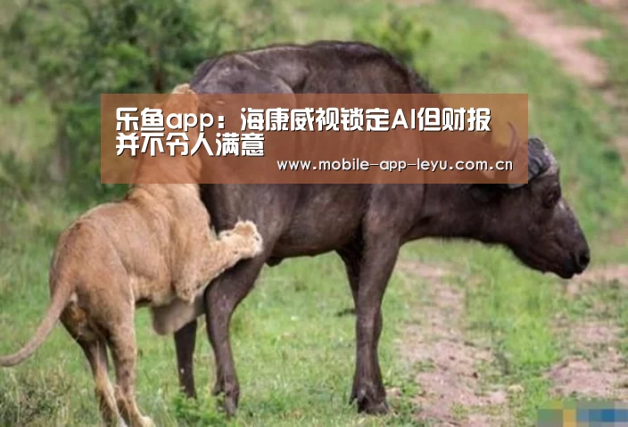 乐鱼app:海康威视锁定AI但财报并不令人满意(图1) 乐鱼app