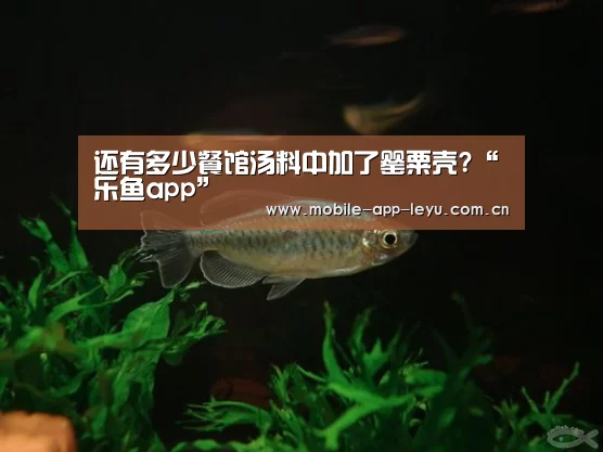 还有多少餐馆汤料中加了罂粟壳?“乐鱼app”(图4) 乐鱼app