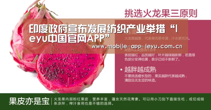 印度政府宣布发展纺织产业举措“leyu中国官网APP”(图2) leyu中国官网APP