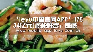 ‘leyu中国官网APP’17834亿元!减税降费,是减负更是改革(图3) leyu中国官网APP