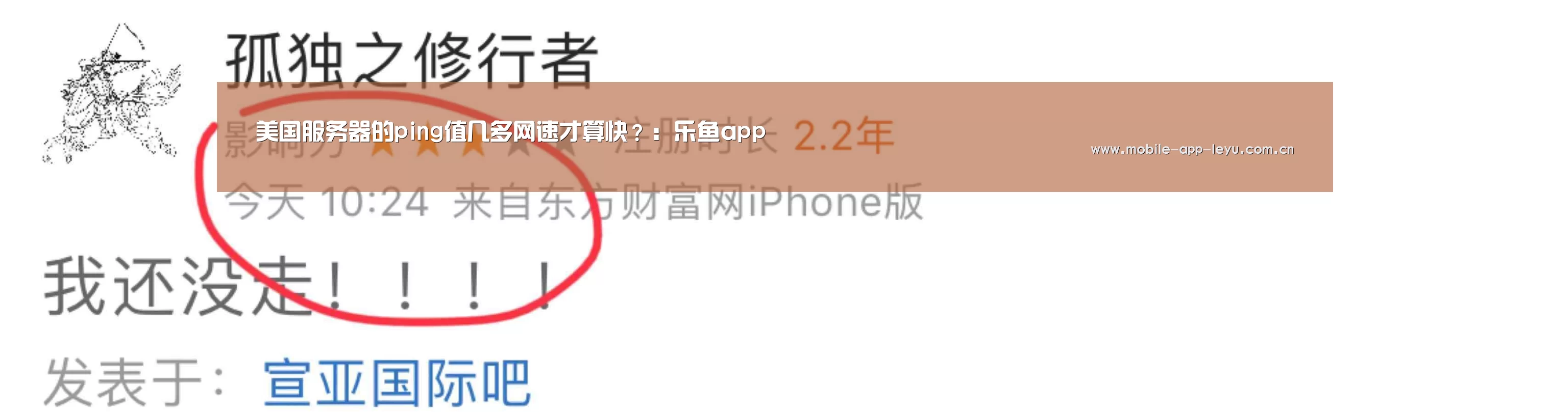 美国服务器的ping值几多网速才算快?:乐鱼app(图2) leyu中国官网APP