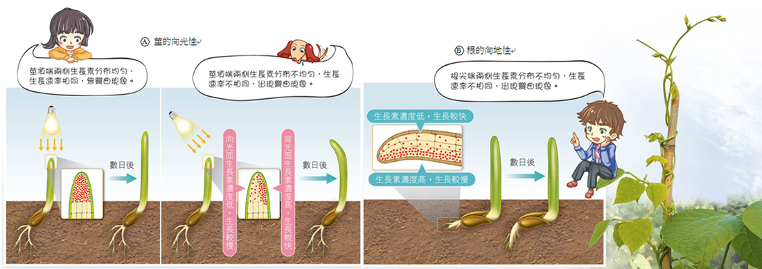 “给活猪灌泥浆”是暴利下的“畸形产业”‘乐鱼app’(图4) 乐鱼app